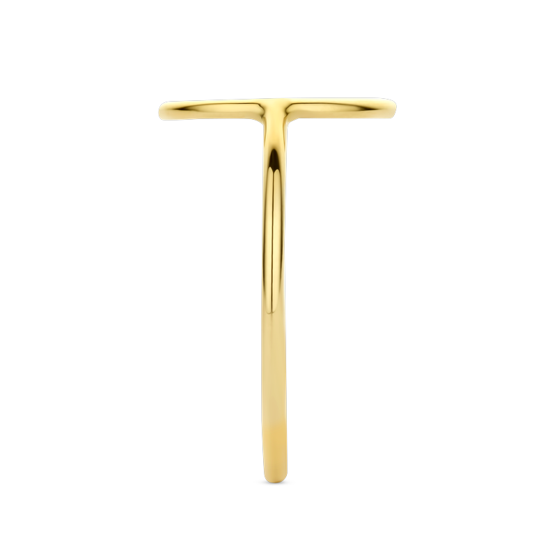 Ring · Burato LINEE · met cirkel