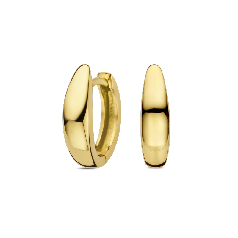 Oorbellen · Vander Avort ESSENTIALS · creool