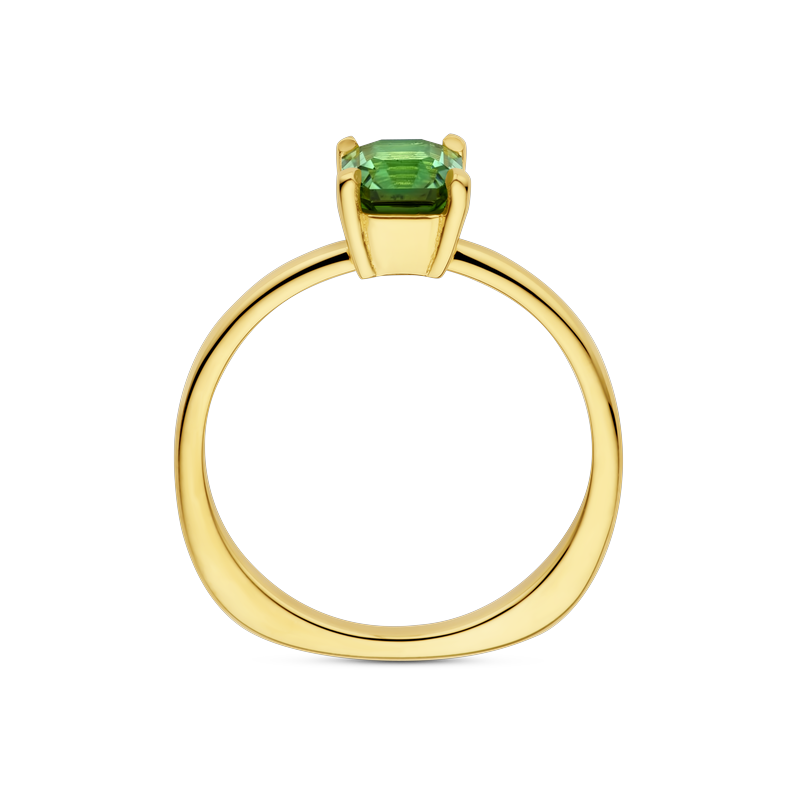 Ring · Vander Avort COLOURFUL · met 0.94ct toermalijn