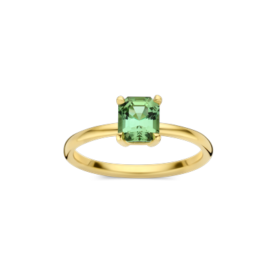 Ring · Vander Avort COLOURFUL · met 0.94ct toermalijn