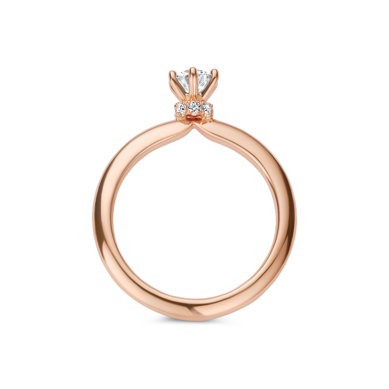 Ring solitaire · Vander Avort · met 0.56ct diamant