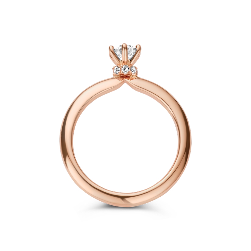 Ring solitaire · Vander Avort · met 0.56ct diamant