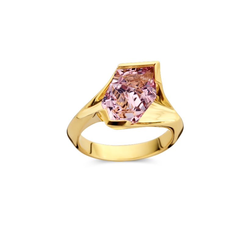 Ring · Vander Avort UNIQUE · met morganiet