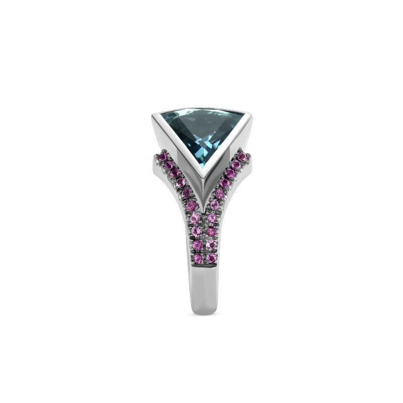 Ring · Vander Avort UNIQUE · met Santa Maria aquamarijn en toermalijn